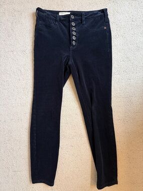Anthropologie /Pilcro Slim Button-Fly Jeans in Dark Navy
